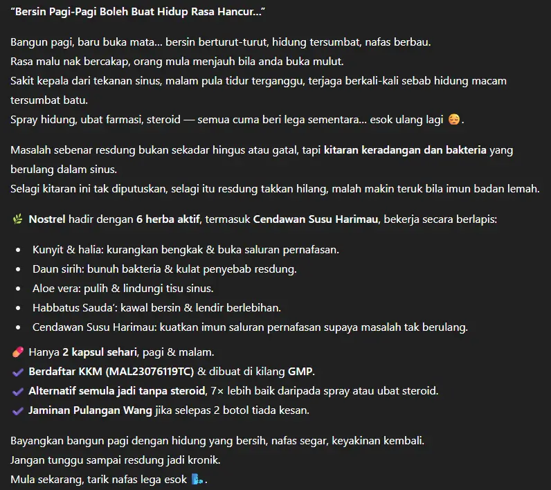Contoh copywriting selepas menggunakan kaedah PrePrompting
